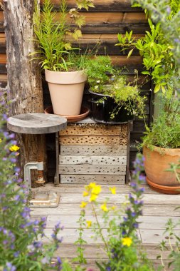 Böcek oteli ve ölü orman vahşi yaşamı teşvik ediyor.