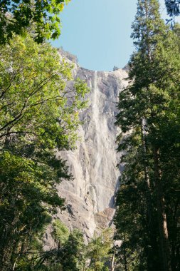 Yosemite Ulusal Parkı Yeşil Ağaçlar Arasında Şelale