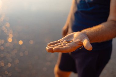 Ao Nang Sahili 'nde Altın Işık Altında Erkek El Tutuşu Minik Deniz Kabuğu