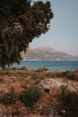 Arnavutluk 'un başkenti Qeparo' da deniz kenarındaki Grafiti kaplı Arnavut Sığınağı