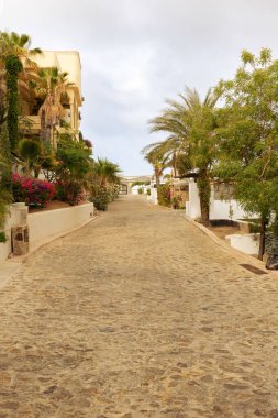 Çamurlu mahalle yolu yemyeşil ve palmiyelerle dolu.