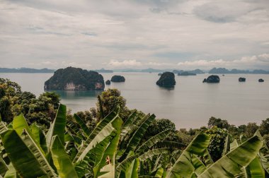 Phang Nga Körfezi 'nin yemyeşil noktası, Krabi, Tayland