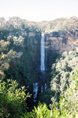 Fitzroy Şelalesi, Avustralya 'da çağlayan şelale.