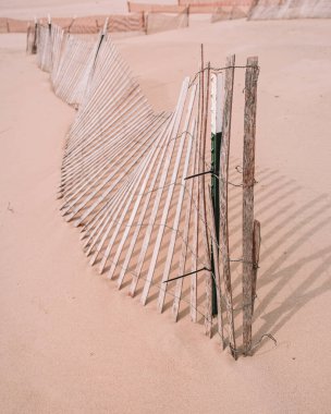 Baharda Oval Plaj Michigan Gölü