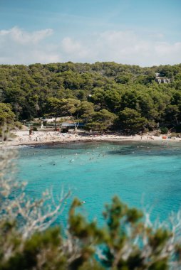 Macarella Sahili, Menorca 'daki Turkuaz Suları ve Çam Ormanı Sahili