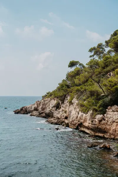 Cala en Forcat, Menorca 'daki Rocky sahili ve çam ağaçları
