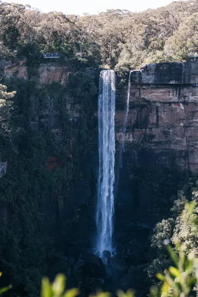 Fitzroy Şelalesi, Avustralya 'daki uçurumdan uzun şelaleler düşüyor.