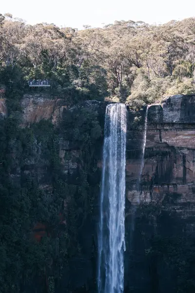 Fitzroy Şelalesi, Avustralya 'daki uçurumdan uzun şelaleler düşüyor.