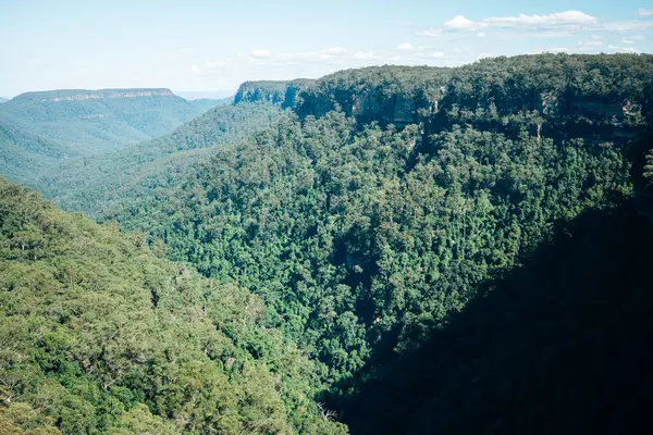 Fitzroy Şelalesi yakınlarındaki yemyeşil orman kayalıkları, Kanguru Vadisi