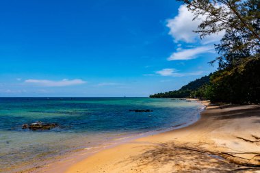 Malezya 'daki Pulau Tioman tropikal adası.