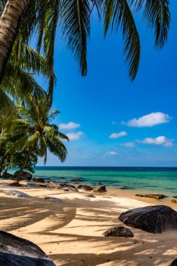 Malezya 'daki Pulau Tioman tropikal adası.