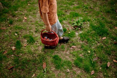 Dışarıda çimenlikte renkli yumurtalarla dolu sepeti tutan çocuk.