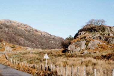 Ulpha, Duddon Vadisi, İngiltere 'de kuru ot ve kayalarla dolu bir dağ yolu.