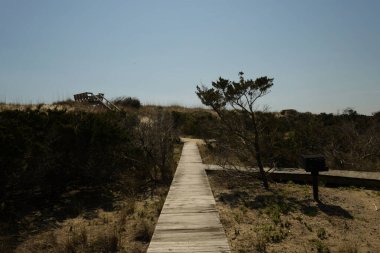 Cape Hatteras Ulusal Sahil Yürüyüşü ve kum tepeleri