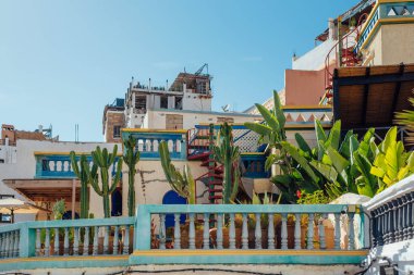 Taghazout, Fas 'taki Kaktüs Bitkileriyle Renkli Teras