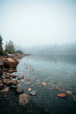 Ürdün Gölü 'nün puslu kıyıları Acadia Ulusal Parkı' nda.