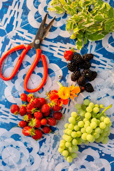Böğürtlen, mastürbasyon çiçekleri, makas mavi kiremitler üzerinde