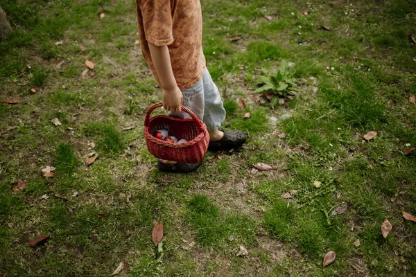 Dışarıda çimenlikte renkli yumurtalarla dolu sepeti tutan çocuk.