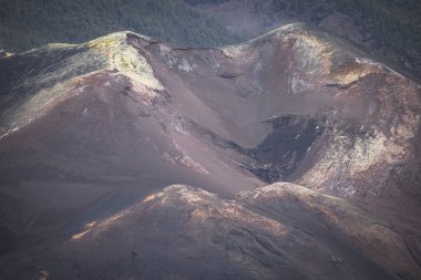 La Palma 'da tazacorte volkanı