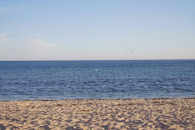 Kaliforniya Körfezi Okyanus manzarası