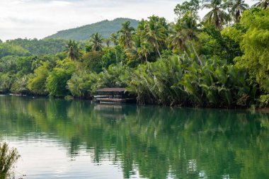 Palmiyelerle çevrili Loboc Nehri 'nde yüzen bir tekne.