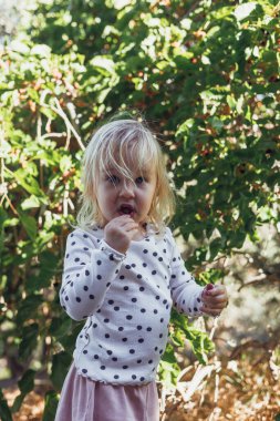 Dağlarda dut ağacını keşfeden bir çocuğun portresi