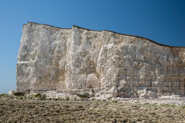 Seaford 'daki Seven Sisters yakınlarındaki beyaz kayalıklara güzel bir manzara.