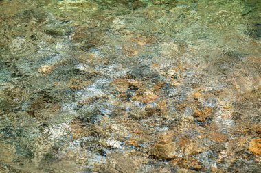 Kristal berrak yeşil su ile güzel yağmur ormanları nehir havuzu manzarası