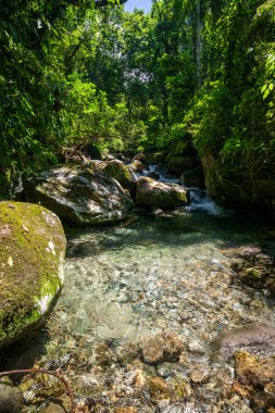 Kristal berrak yeşil su ile güzel yağmur ormanları nehir havuzu manzarası