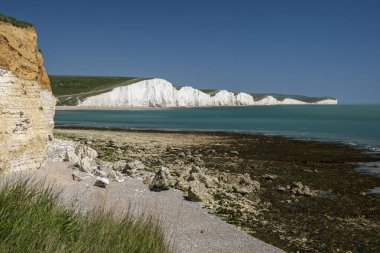 Seaford, İngiltere 'deki Seven Sisters beyaz kayalıklarına güzel bir manzara.