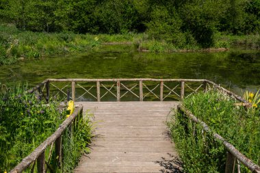 İngiltere, Arundel 'deki ortaçağ tarihi şatosunda su bahçesi.