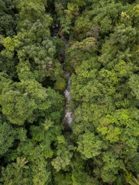 Yeşil yağmur ormanı nehir vadisine güzel hava manzarası