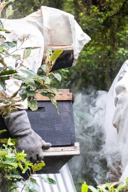 Bir arı yetiştiricisi kovandan bal toplar.