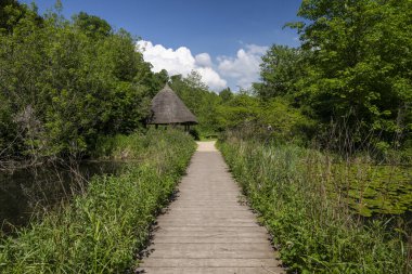 İngiltere, Arundel 'deki ortaçağ tarihi şatosunda su bahçesi.