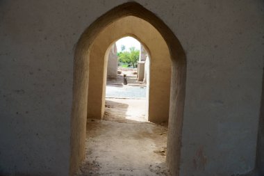 Bir kedinin yürüdüğü dar bir kemer yolu.