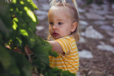 Küçük çocuk dışarıda güneşli bir günün tadını çıkarırken dut yiyor.