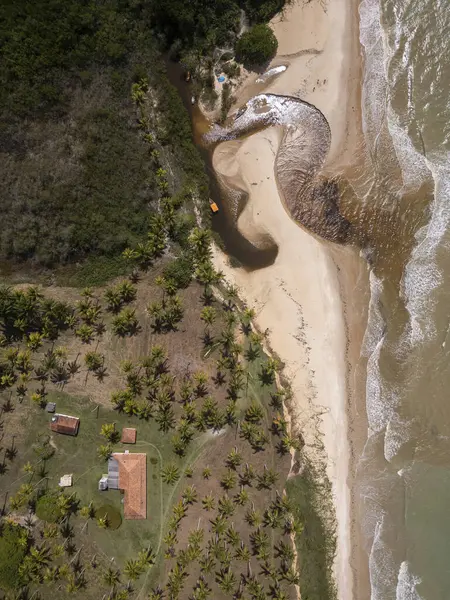Vahşi sahile ve kumlu nehir ağzına güzel bir hava manzarası.