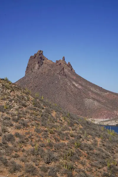San Carlos Meksika 'da Tetakawi
