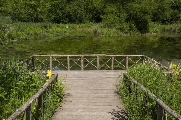 İngiltere, Arundel 'deki ortaçağ tarihi şatosunda su bahçesi.