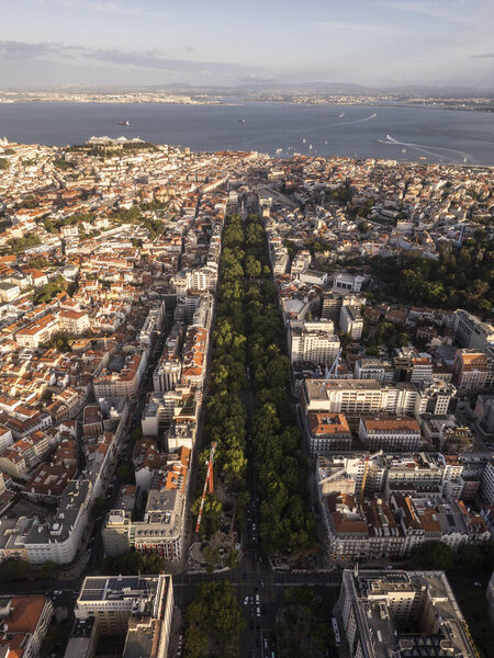 Вид с воздуха на зеленую авеню Либердаде в центре Лисбона