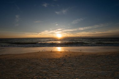 Gün batımında sahili keşfeden altı kuşun arka ışıklandırılmış silueti.