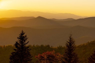 Asheville, Kuzey Carolina 'daki Blue Ridge Parkway Dağları