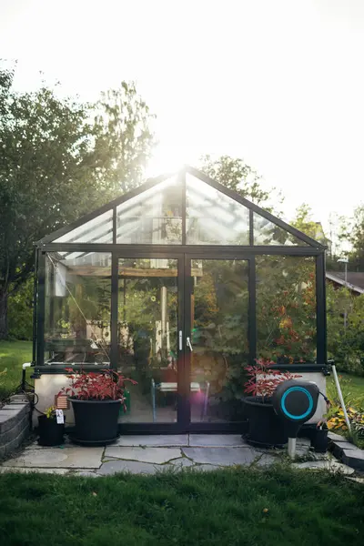 Bahçedeki serada güneş parlıyor