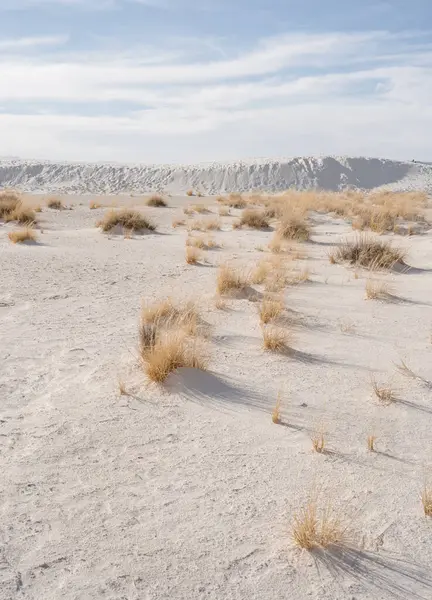 New Mexico 'daki White Sands Ulusal Parkı manzarası