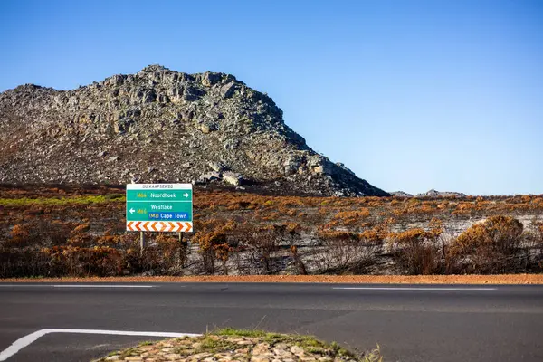 Vahşi yangından sonra dağ manzaraları