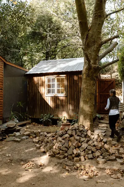 Ağaçlarda inşa edilmiş küçük bir ev.