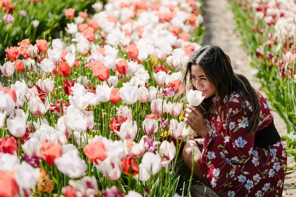 Hollanda 'da Baharın Kokusu Lale Tarlaları