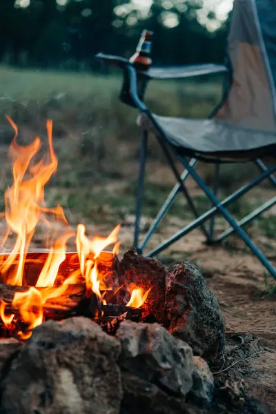 Dixie Ulusal Ormanı 'nda kamp ateşi yanıyor.