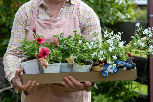 Elinde çiçek tepsisi ve ekme aletleri olan bir kadın.