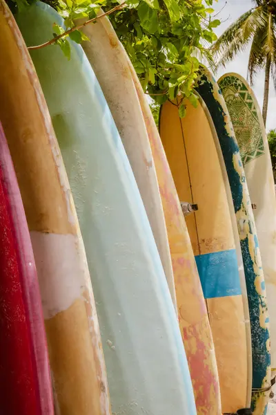 Sahildeki çok renkli sörf tahtalarının dikey görüntüsü